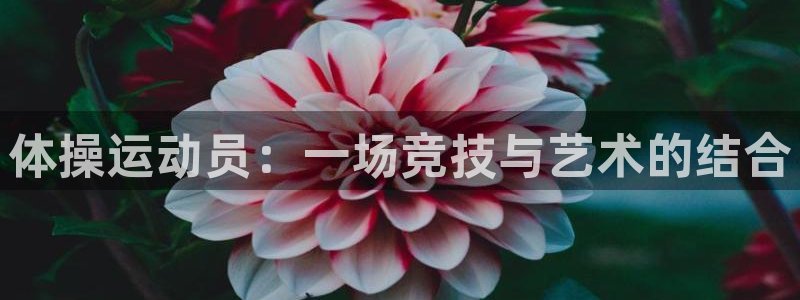 JJB竞技宝官网下载娱乐:体操运动员:一场竞技与艺术的结合