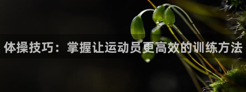 JJB竞技宝官方正版app娱乐:体操技巧:掌握让运动员更高效